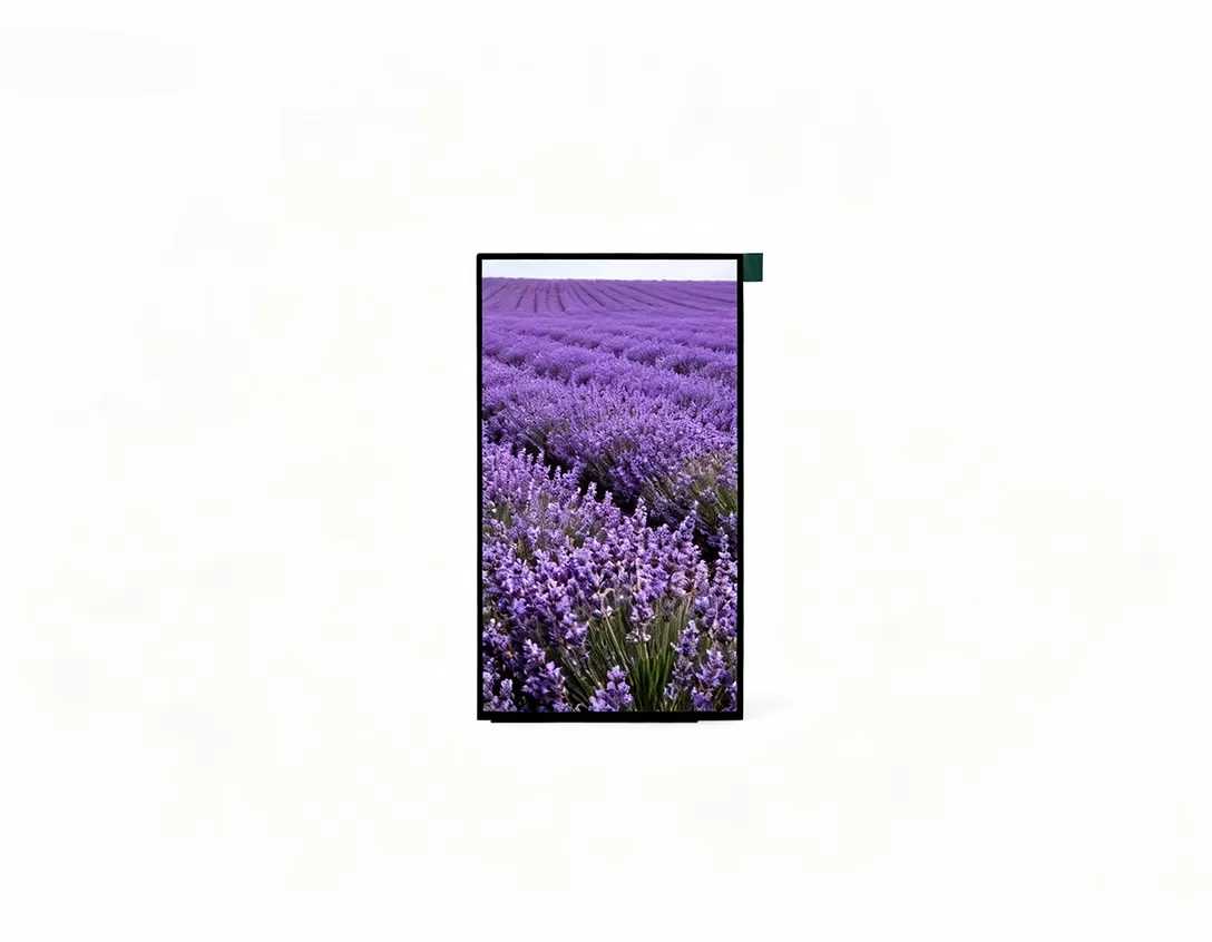 6.95インチの表示画面