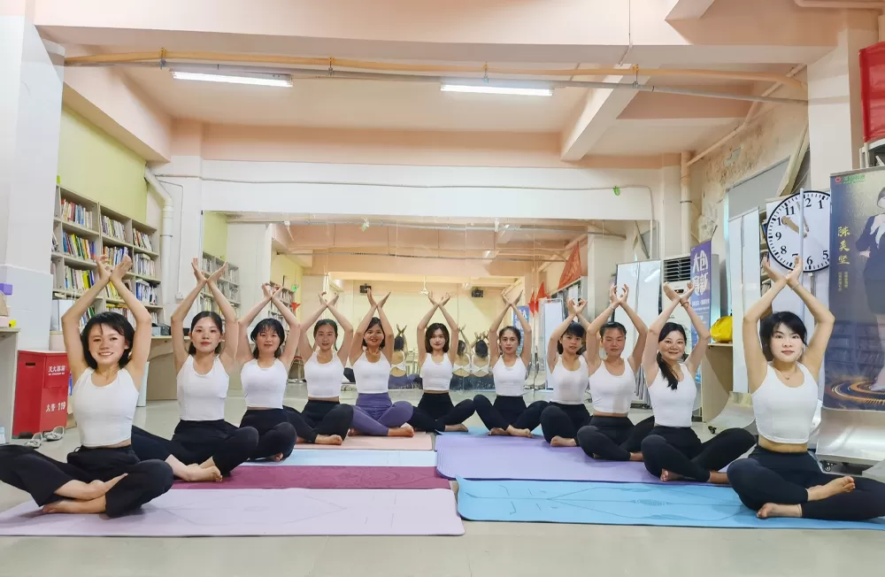 ダンス & エアロビクス协会
